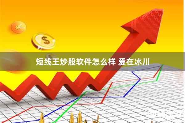 短线王炒股软件怎么样 爱在冰川
