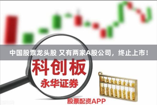 中国股票龙头股 又有两家A股公司，终止上市！