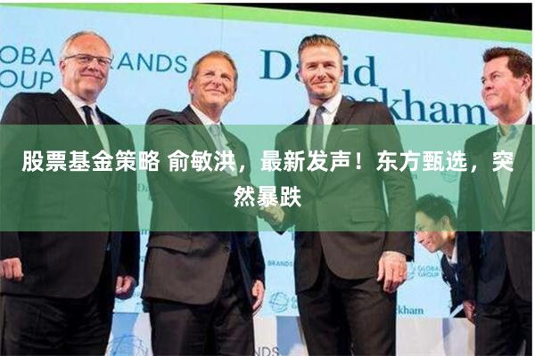 股票基金策略 俞敏洪，最新发声！东方甄选，突然暴跌