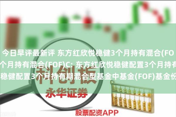 今日早评最新评 东方红欣悦稳健3个月持有混合(FOF)A,东方红欣悦稳健3个月持有混合(FOF)C: 东方红欣悦稳健配置3个月持有期混合型基金中基金(FOF)基金份额发售公告