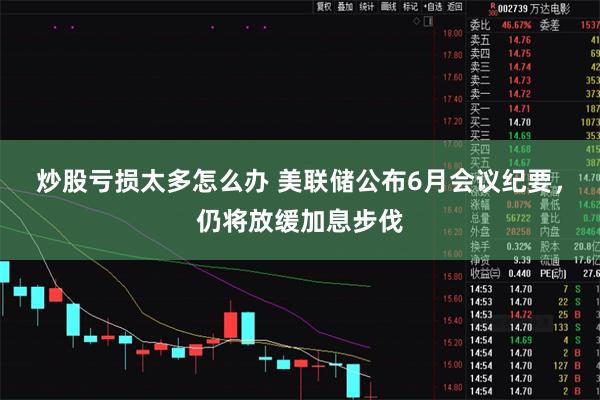 炒股亏损太多怎么办 美联储公布6月会议纪要，仍将放缓加息步伐