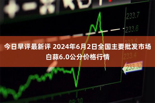今日早评最新评 2024年6月2日全国主要批发市场白蒜6.0公分价格行情