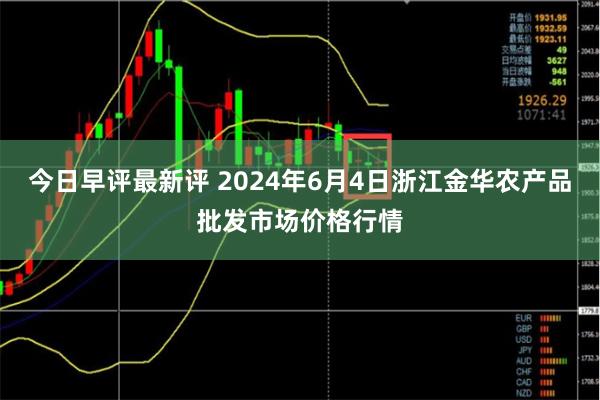 今日早评最新评 2024年6月4日浙江金华农产品批发市场价格行情