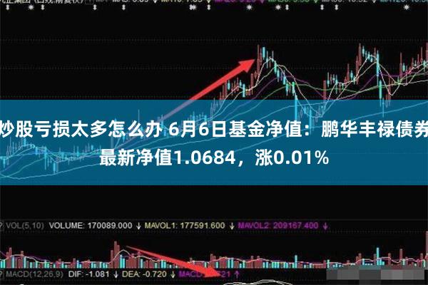 炒股亏损太多怎么办 6月6日基金净值：鹏华丰禄债券最新净值1.0684，涨0.01%