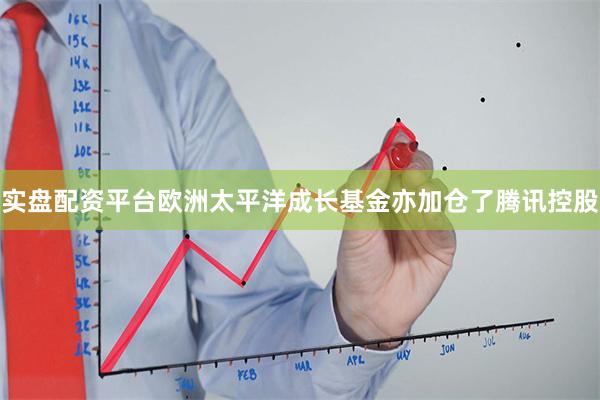 实盘配资平台欧洲太平洋成长基金亦加仓了腾讯控股