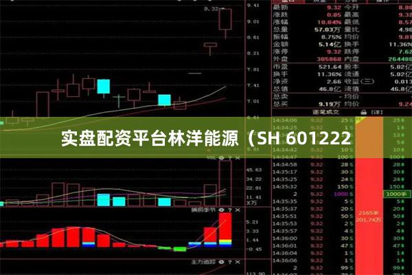 实盘配资平台林洋能源(SH 601222