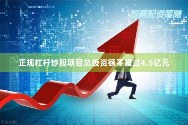 正规杠杆炒股项目总投资额不超过4.5亿元