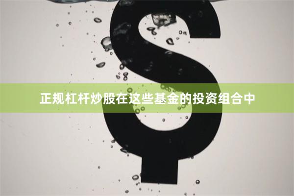 正规杠杆炒股在这些基金的投资组合中